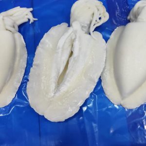 Cuttlefish whole clean